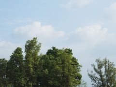 -两河城市森林公园