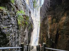 -蝶舞清江·恩施云顶景区(黄鹤峰林)