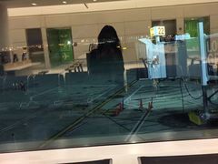 -约翰·菲茨杰拉德·肯尼迪国际机场