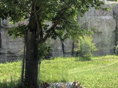 -齐齐哈尔龙沙动植物园
