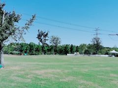 -长田漾湿地公园