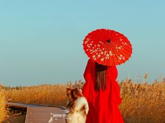 -超宠爱宠物摄影-Super pet