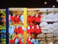 -北戴河圣蓝海洋公园