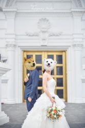 -HY小曼wedding·TOPYOUNG团队