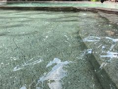 -天赐温泉