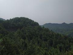 -磬锤峰森林公园