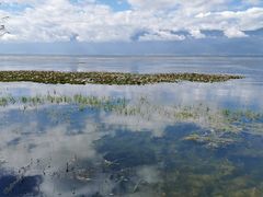 -大理洱海