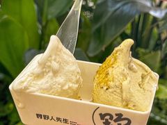 -野人先生Gelato(上海长宁龙之梦店)