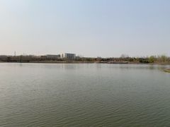 -东郊湿地公园