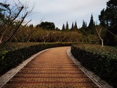 -同里国家湿地公园
