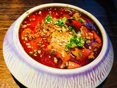 -锦尚阁烤鱼(望京新荟城店)