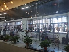 -弓舍射箭俱乐部(高新总店)
