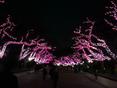 -东京国立博物馆