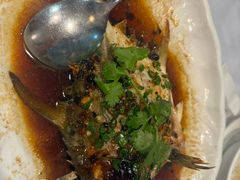 -北海渔村酒楼·粤菜海鲜点心(新华店)