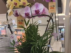 -福田卓悦INTOWN购物中心