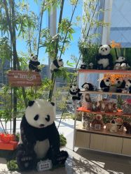 -IMON·HANSA潮玩玩偶毛绒玩具(通州万象汇店)