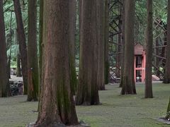 -波尔登森林公园
