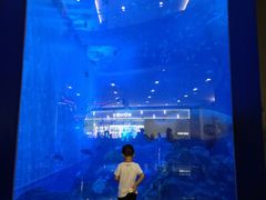 -成都浩海立方海洋公园