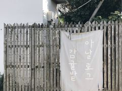 -柑橘农场