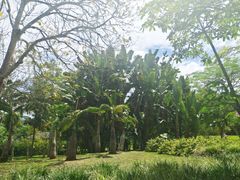 -中国科学院西双版纳热带植物园