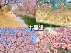 -颐和园