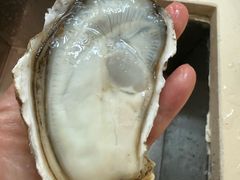 -三亚新鸿港水果一级批发市场