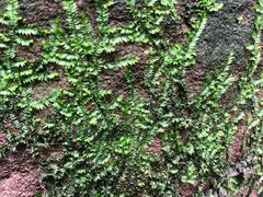 -三峡古玩城(泰古广场店)