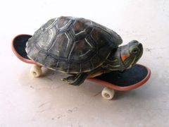 -苏州河梦清园环保主题公园