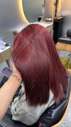 -Tloml salon