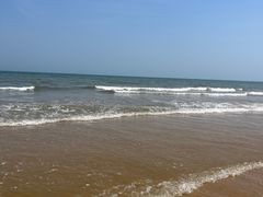 -日照海滨国家森林公园
