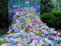 -上海共青森林公园