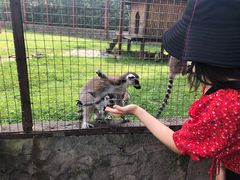 -南昌动物园