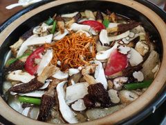 野生菌汤锅-茶马古道·野生菌清汤黄牛肉(沙溪店)