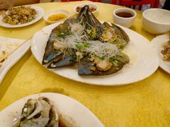 -鸿达渔港