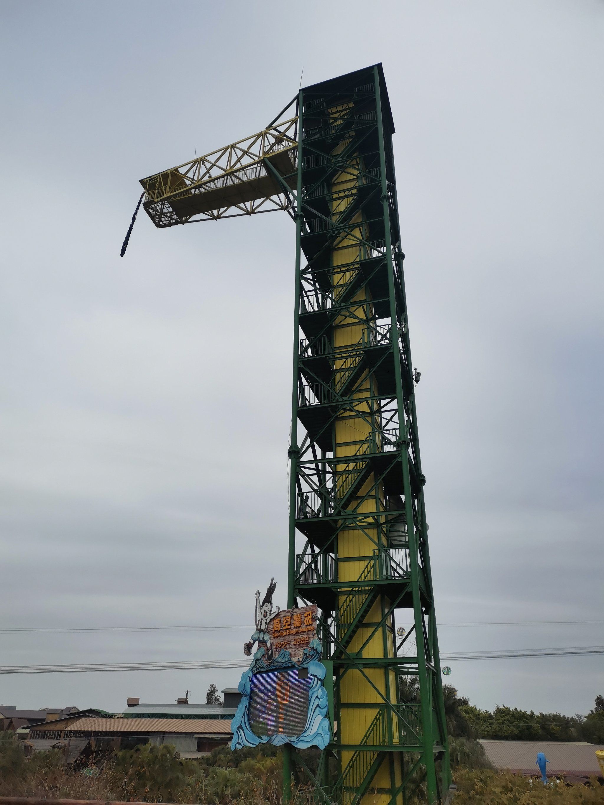 长鹿的快乐回忆