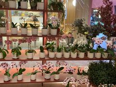 -二酉书店TOYOU BOOKS