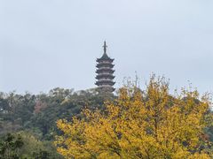 -焦山风景区