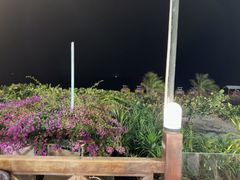 -渔家火锅·海鲜自助餐·演艺(亚龙湾天域酒店)