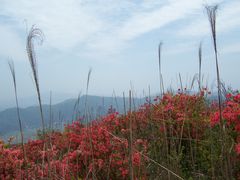 -瑞安圣井山景区