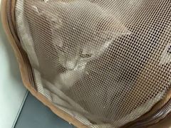 -半岛宠物医院24小时(白果林店)