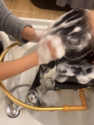 -森林头疗美容养发馆