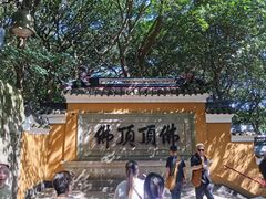 -普陀山风景区-佛顶山