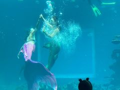 -海棠湾洲际-涛·海底餐厅·美人鱼·自助餐·海底隧道