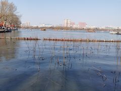 -济南大明湖景区
