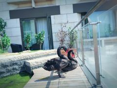 -行者书屋大堂吧 ·下午茶(南京圣和府邸酒店)