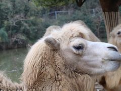 -杭州野生动物世界