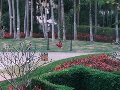 -石梅湾艾美度假酒店