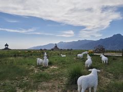 -敕勒川草原文化旅游区