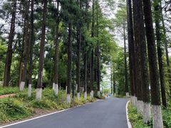 -莫干山风景区