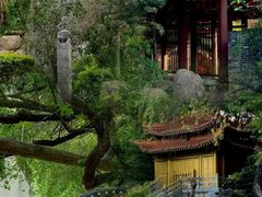 -深圳国际园林花卉博览园